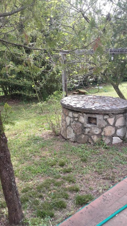 Bed & Breakfast Suite Rende Zewnętrze zdjęcie